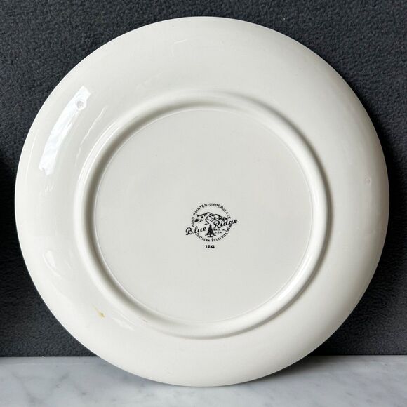 Vintage Blue Ridge Southern Potteries Bittersweet Berries 4 Hand Painted Plates - Picture 10 of 13